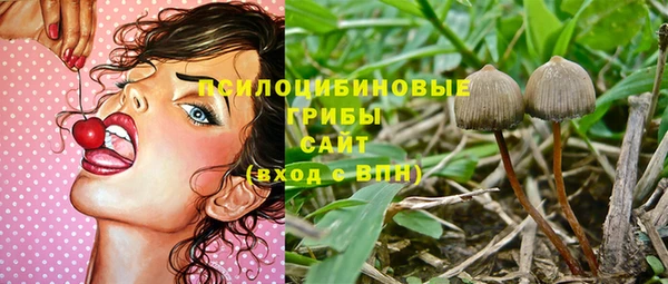 наркотики Горняк