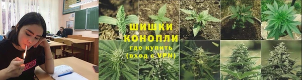 дурь Горно-Алтайск